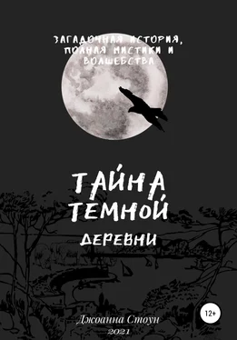 Джоанна Стоун Тайна Темной деревни обложка книги