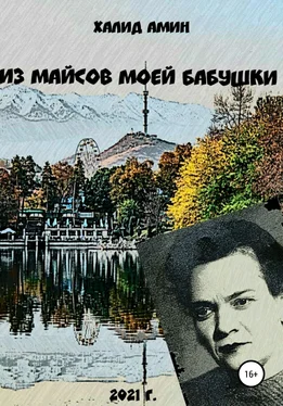 Халид Амин Из майсов моей Бабушки обложка книги