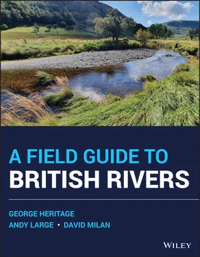 George Heritage A Field Guide to British Rivers обложка книги