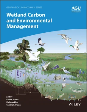 Неизвестный Автор Wetland Carbon and Environmental Management обложка книги