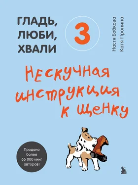 Анастасия Бобкова Гладь, люби, хвали 3: нескучная инструкция к щенку обложка книги