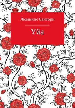 Люминис Сантори Уйа обложка книги