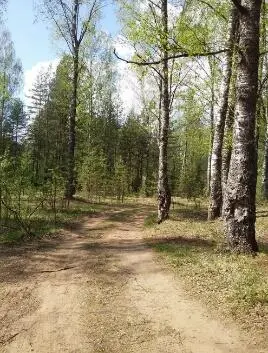Железная дорога была нормальная вовсе не узкоколейная но всё же в одну колею - фото 23
