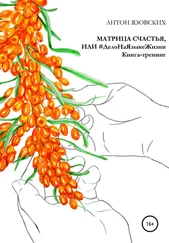 Антон Язовских - Матрица счастья, или Дело на языке Жизни