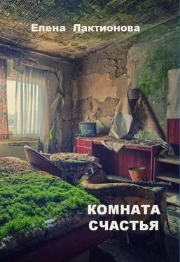 Елена Лактионова Комната счастья (стихотворения) обложка книги