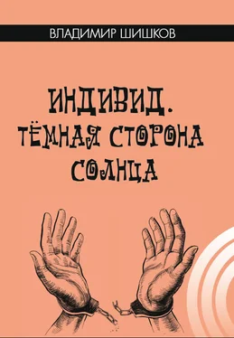 Владимир Шишков Индивид. Темная сторона солнца обложка книги