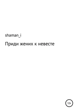 shaman_i Приди жених к невесте обложка книги