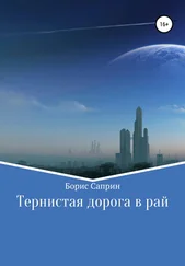 Борис Саприн - Тернистая дорога в рай