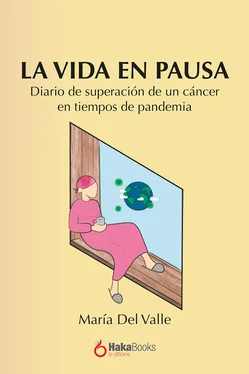 María Del Valle La vida en pausa обложка книги