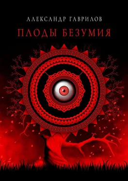 Александр Гаврилов Плоды безумия обложка книги