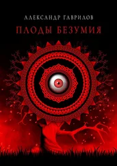 Александр Гаврилов - Плоды безумия
