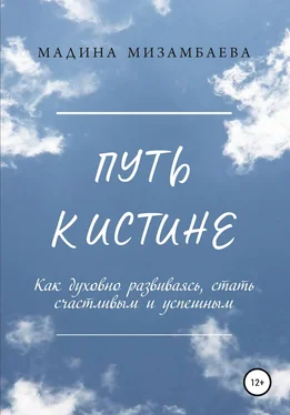 Мадина Мизамбаева Путь к истине обложка книги
