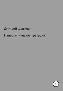 Дмитрий Шашков Палеолитическая трагедия