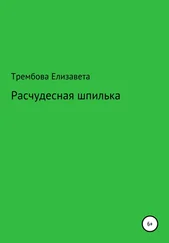 Елизавета Трембова - Расчудесная шпилька