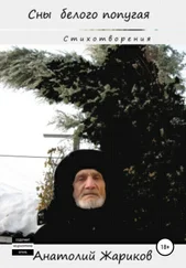 Анатолий Жариков - Сны белого попугая