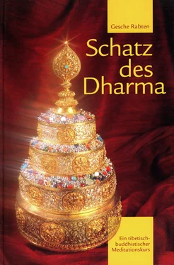Gesche Rabten Schatz des Dharma обложка книги