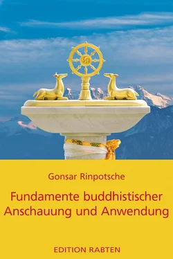 Rinpotsche Gonsar Fundamente buddhistischer Anschauung und Anwendung обложка книги