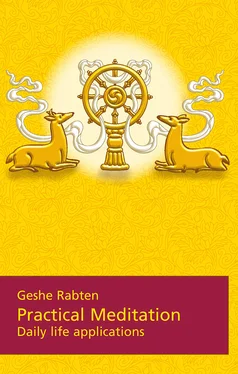 Gesche Rabten Practical Meditation обложка книги