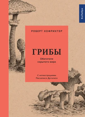 Роберт Хофрихтер Грибы: Обитатели скрытого мира обложка книги