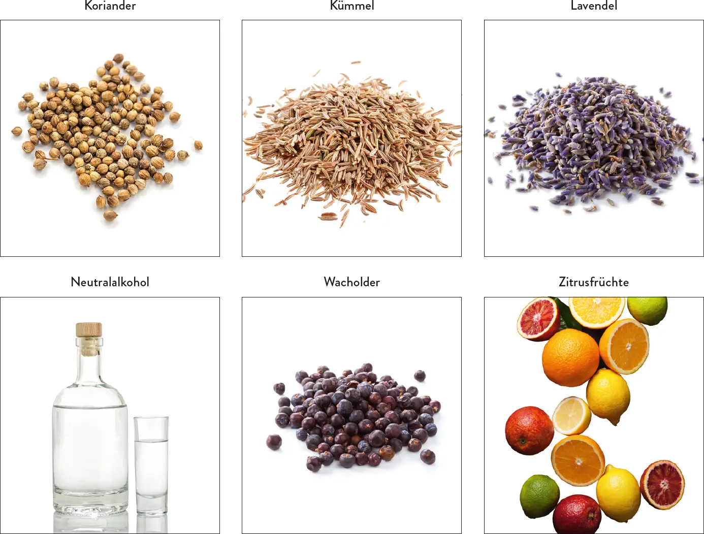 Gin Ursprung Herstellung Eine Spirituose mit Wacholdergeschmack die - фото 47