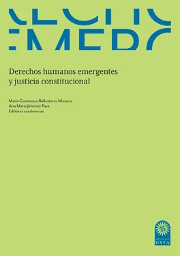 María Constanza Ballesteros Moreno Derechos humanos emergentes y justicia constitucional обложка книги