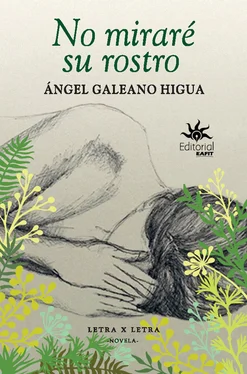 Ángel Galeano Higua No miraré su rostro обложка книги
