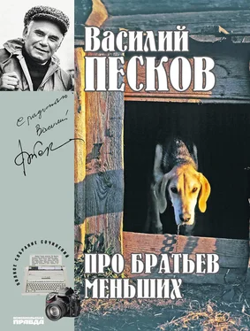 Василий Песков Полное собрание сочинений. Том 19. Про братьев меньших обложка книги