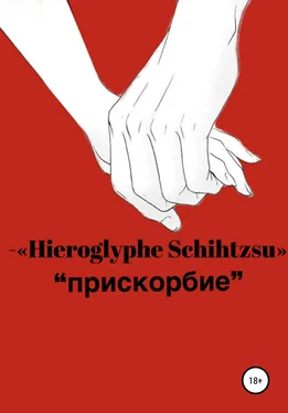 Hieroglyphe Schihtzsu Прискорбие обложка книги