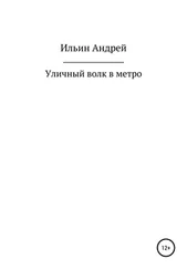 Андрей Ильин - Уличный волк в метро