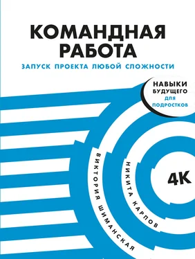 Виктория Шиманская Командная работа. Запуск проекта любой сложности обложка книги