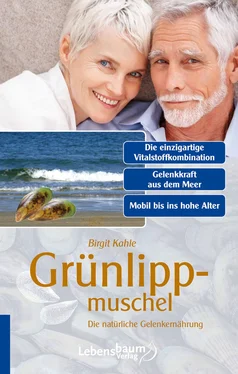 Birgit Kahle Grünlippmuschel обложка книги