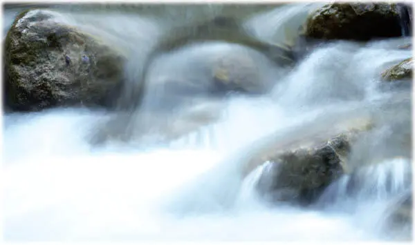 Die Bedeutung des Wassers spiegelt sich auf besondere Weise im Artenreichtum - фото 14