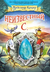 Александр Котлер - Неизвестный С.