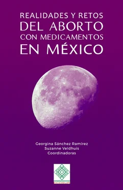 Georgina Sánchez Ramírez Realidades y retos del aborto con medicamentos en México обложка книги