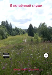 Алекс Динго Сид-Ней - В потаённой глуши