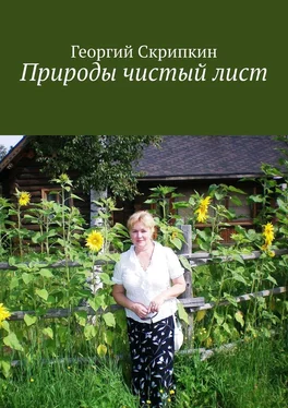 Георгий Скрипкин Природы чистый лист обложка книги