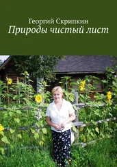 Георгий Скрипкин - Природы чистый лист