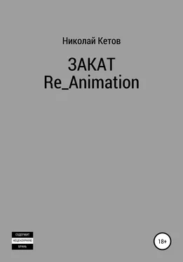 Николай Кетов Закат. Re_Animation обложка книги