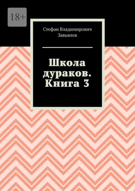 Стефан Завьялов Школа дураков. Книга 3 обложка книги