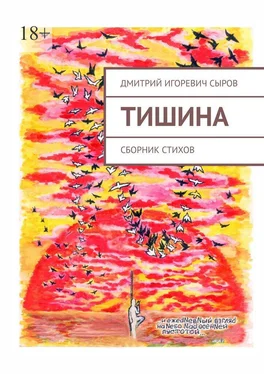 Дмитрий Сыров Тишина. Сборник стихов обложка книги