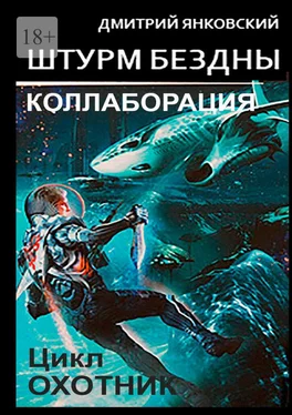 Дмитрий Янковский Штурм бездны: Коллаборация. Цикл «Охотник» обложка книги