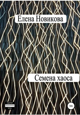 Елена Новикова Семена хаоса обложка книги