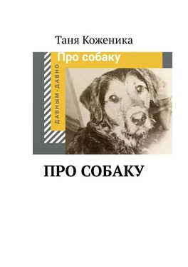 Таня Коженика Про собаку обложка книги