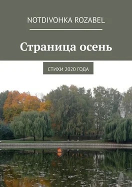Notdivohka Rozabel Страница осень. Стихи 2020 года обложка книги