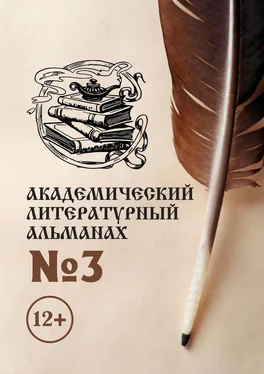 Н. Копейкина Академический литературный альманах №3 обложка книги