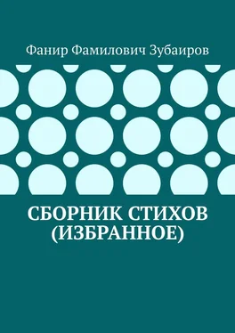 Фанир Зубаиров Сборник стихов (избранное) обложка книги