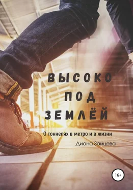 Диана Зайцева Высоко под землей обложка книги