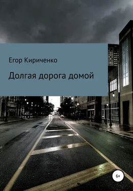 Егор Кириченко Долгая дорога домой обложка книги