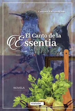 Gustavo Vaca Delgado El canto de la essentia обложка книги