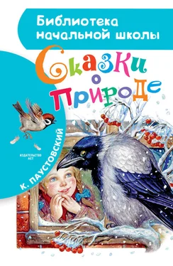 Константин Паустовский Сказки о природе (сборник) обложка книги